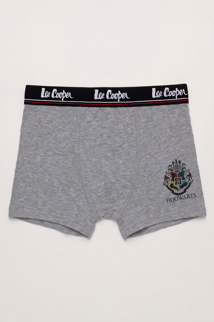 Lee Cooper Boys Harry Potter Trunks (Pack of 3) - Multicolor — image 6